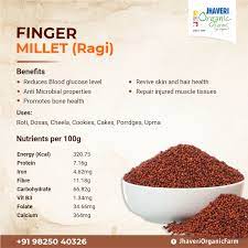 Finger millet: Also known as Ragi